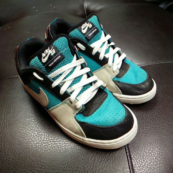 team edition nike sb